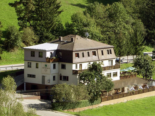 Hotel Gruner Baum Mit Restaurant & Wellness Oberzent Exterior foto